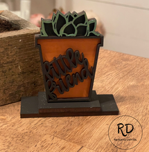 Load image into Gallery viewer, Succulent & Sign Class